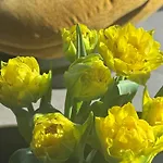 Abton 호텔 우치