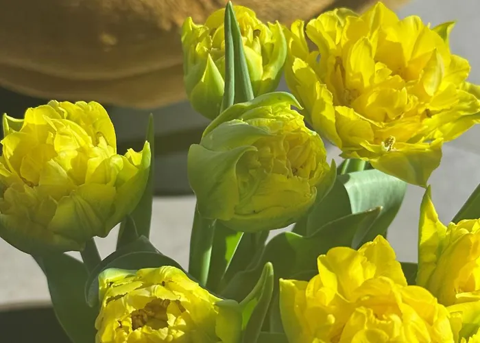 Abton فندق وودج